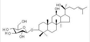 人参皂苷rh2单体人参提取物